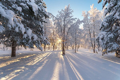 План мероприятий ГБУДО г. Москвы ДШИ 
